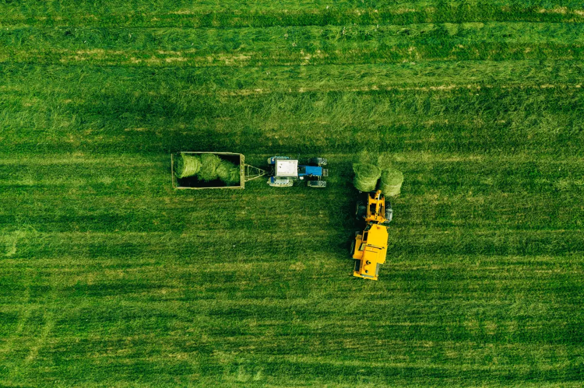 PEPAC: apoios e incentivos para a agricultura no âmbito da Política Agrícola Comum, Multiplos Consultores, Aveiro Portugal