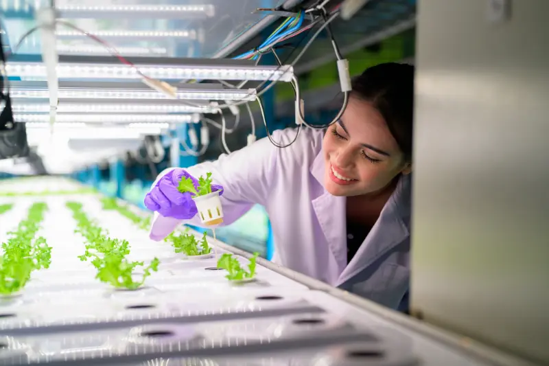 STEP – Inovação Produtiva – Digital e Biotecnologia. Múltiplos