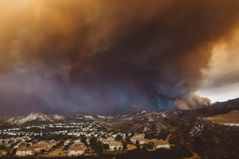 Restabelecimento do potencial silvícola na sequência de catástrofes naturais, de fenómenos climatéricos adversos ou de acontecimentos catastróficos | Estabilização de emergência pós incêndio (3º Concurso). Múltiplos