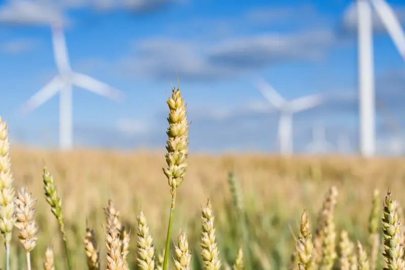 Investimento produtivo bioeconomia – Modernização | Multissetores -Agroindústria (1º Concurso). Múltiplos